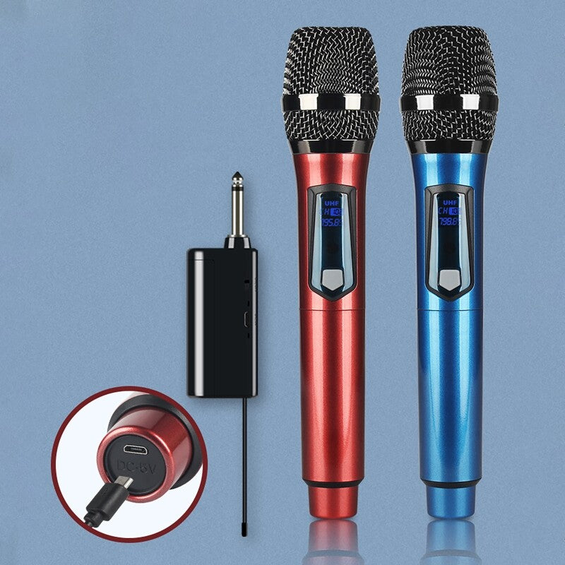 Professional wireless dual microphone