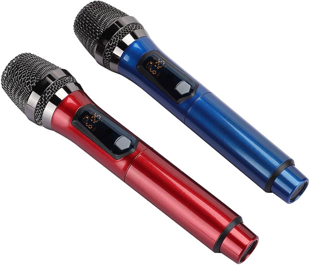 Professional wireless dual microphone