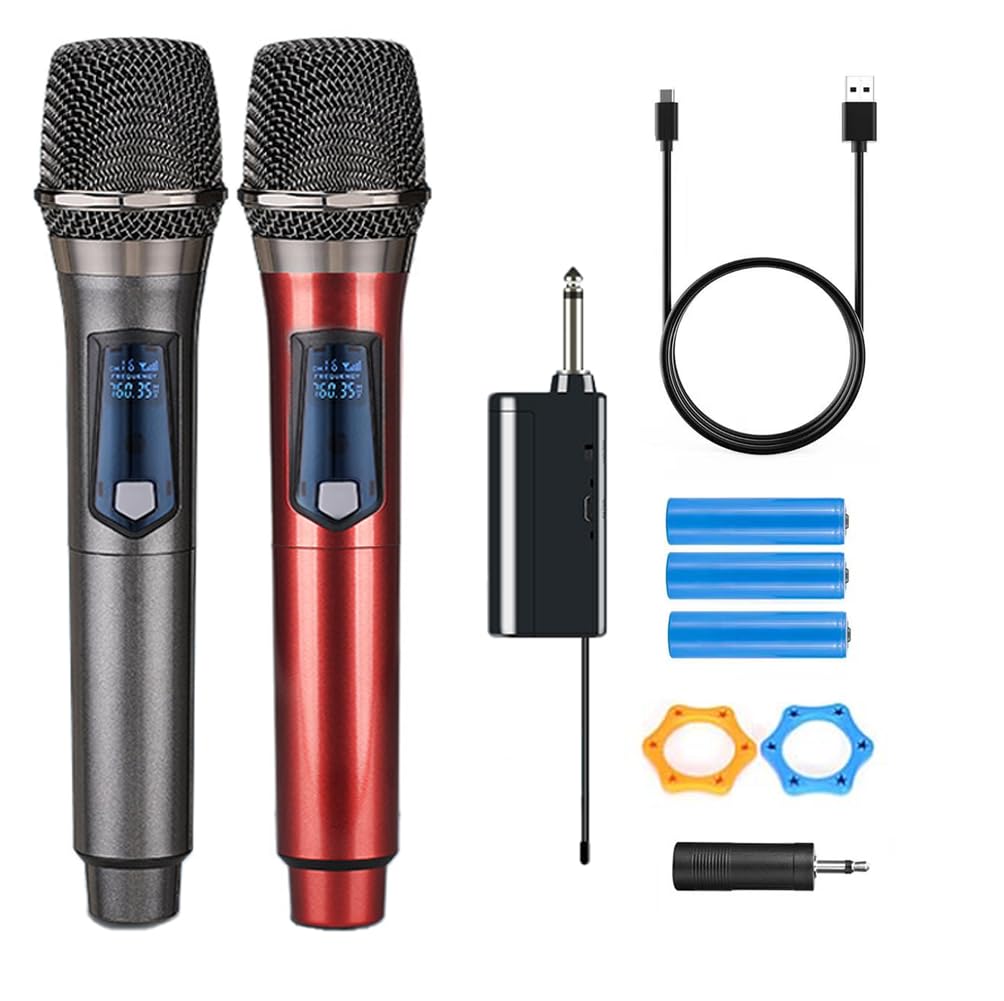 Professional wireless dual microphone