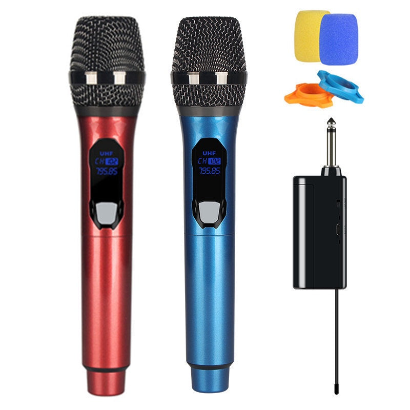 Professional wireless dual microphone