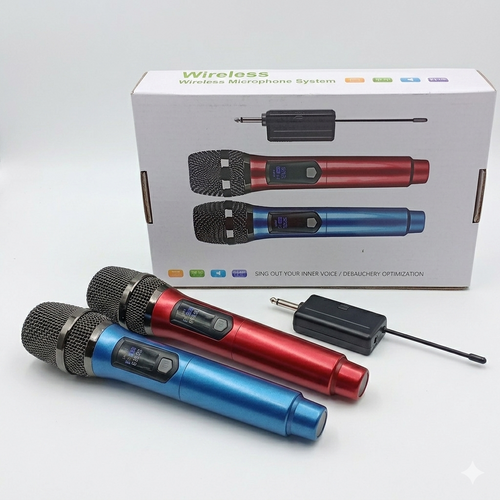 Professional wireless dual microphone
