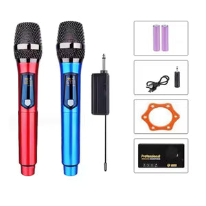 Professional wireless dual microphone
