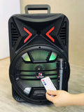 12inch  party speakerr NN-1205