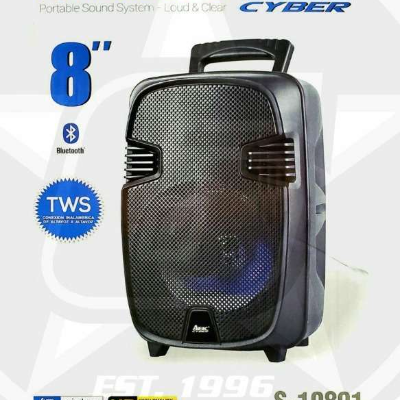 AEK 8inch bluetooth speaker