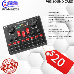 Sound card V8s