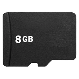 8gig CA memory card