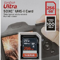 SanDisk 256gig camera memory card