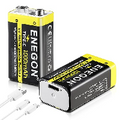 10v-iron-battery-for-metal-scanner-detector