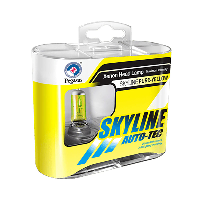 Skyline chuangyu xenon head lamp 12v 55w H4