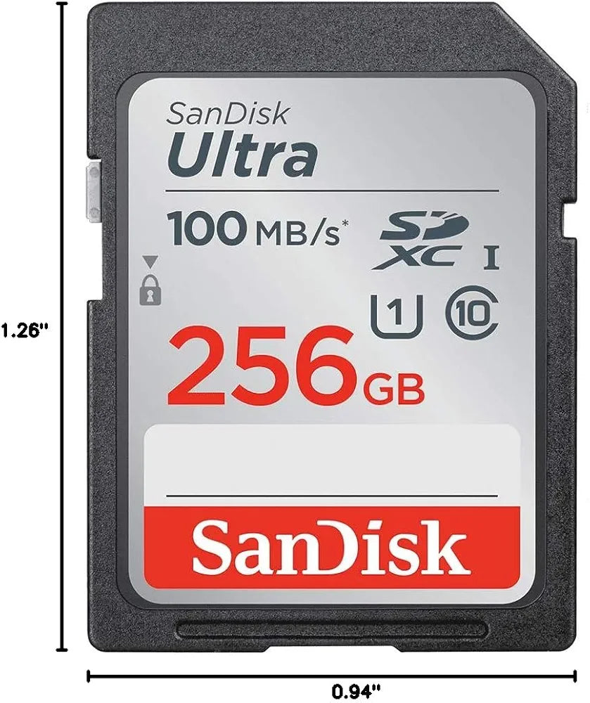 SanDisk 256gig camera memory card