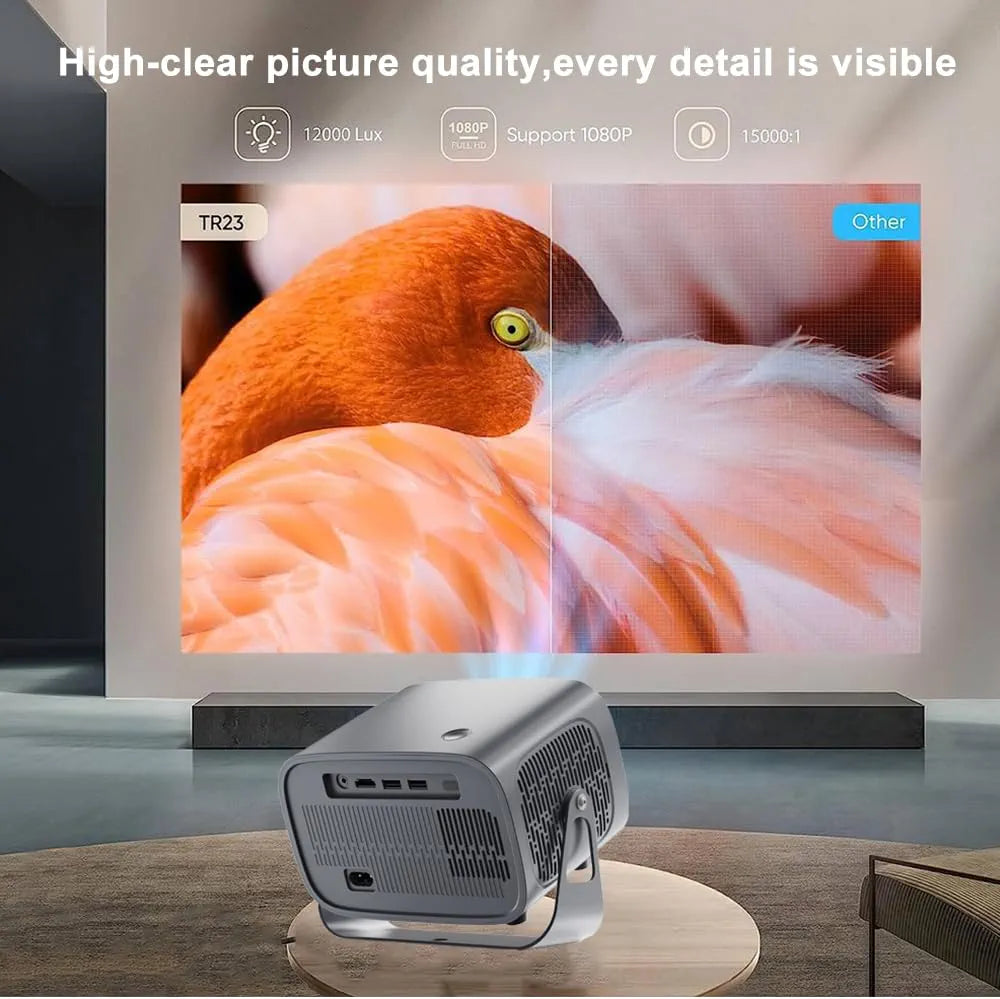 Home projector HD resolution 300