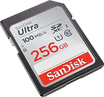 SanDisk 256gig camera memory card