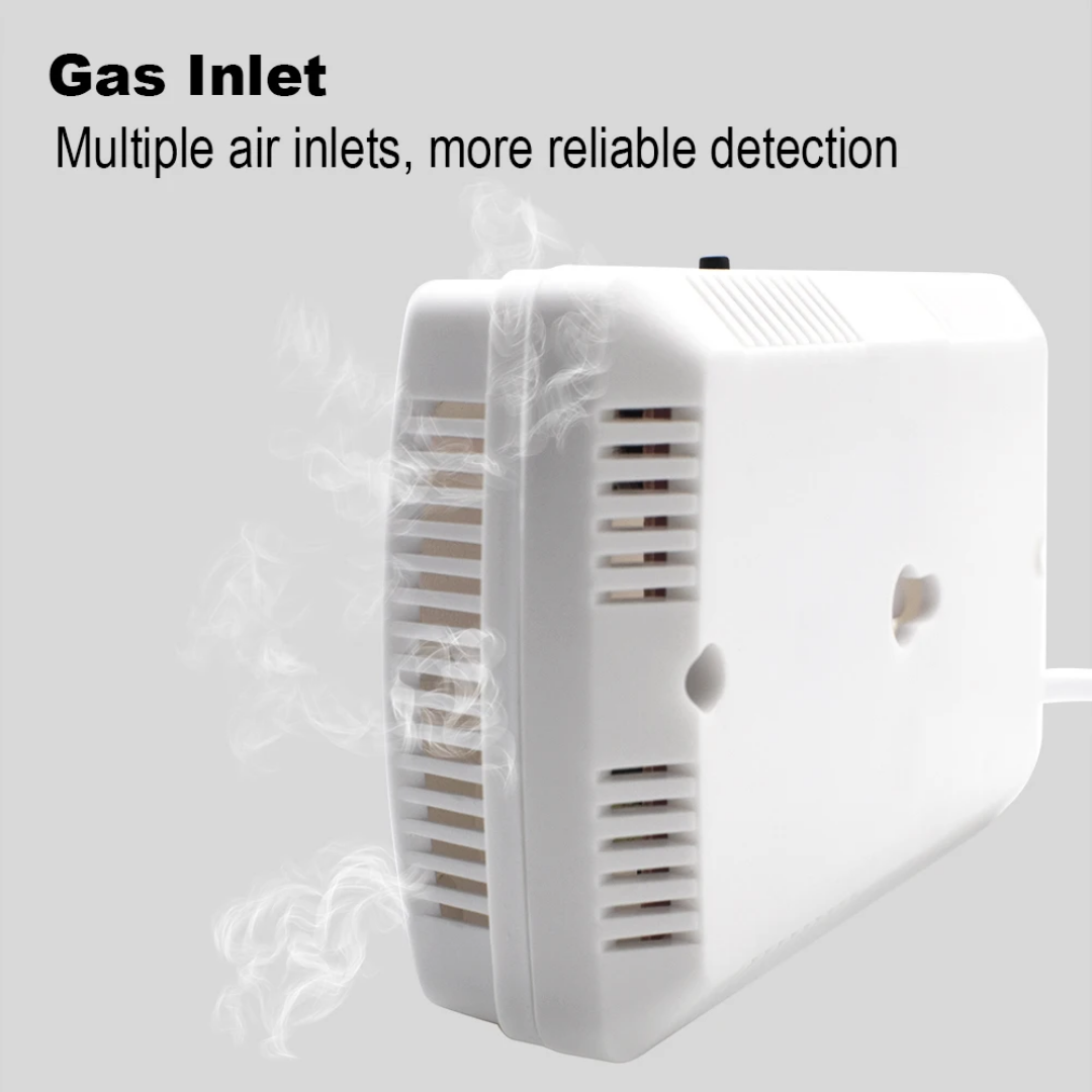 Smart gas leak detector