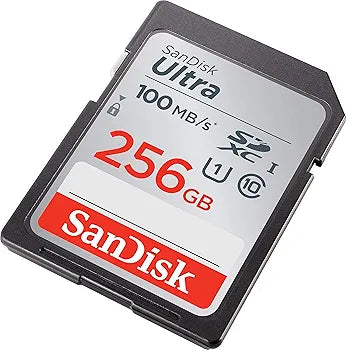 SanDisk 256gig camera memory card
