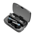 M19 earpods