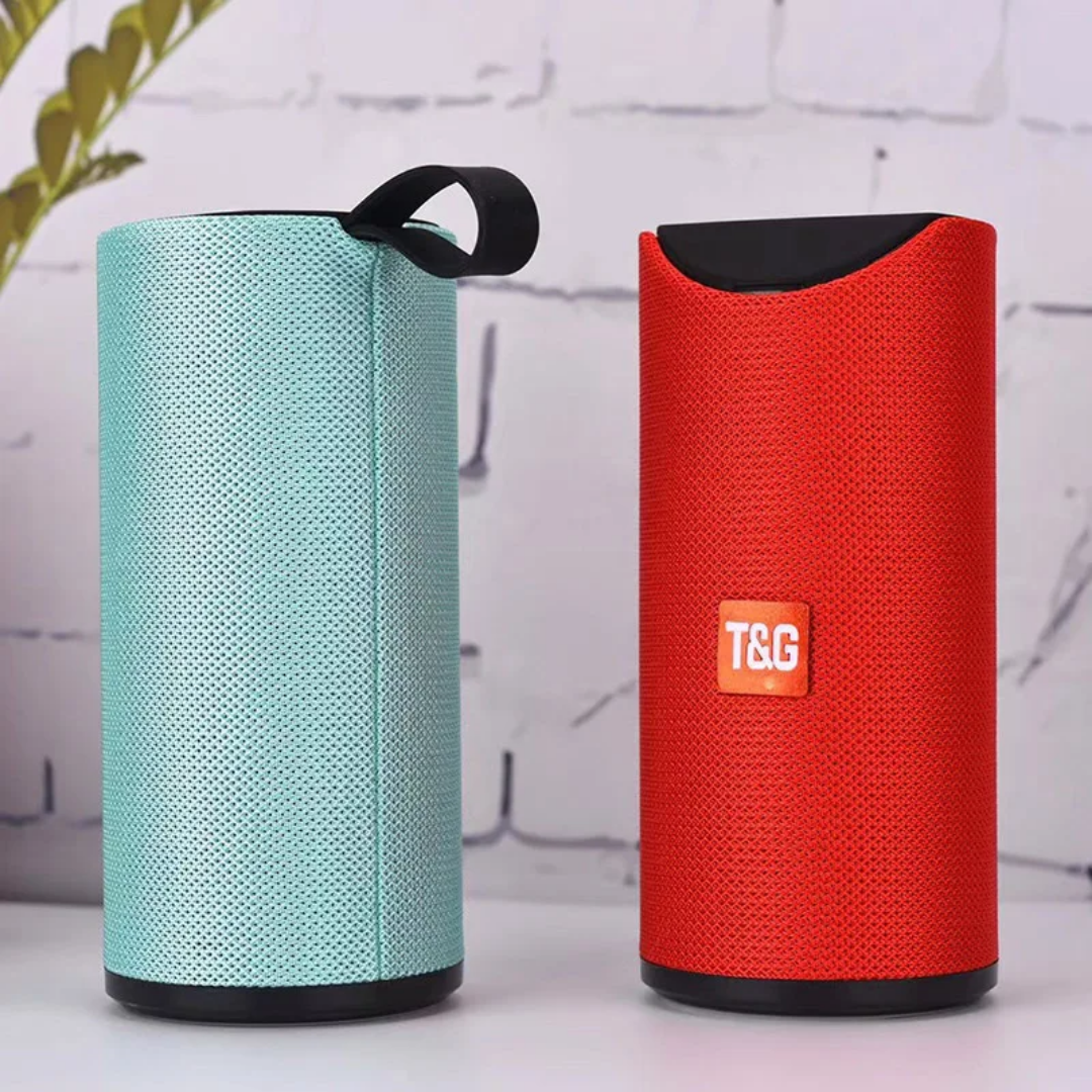 Portable Speaker