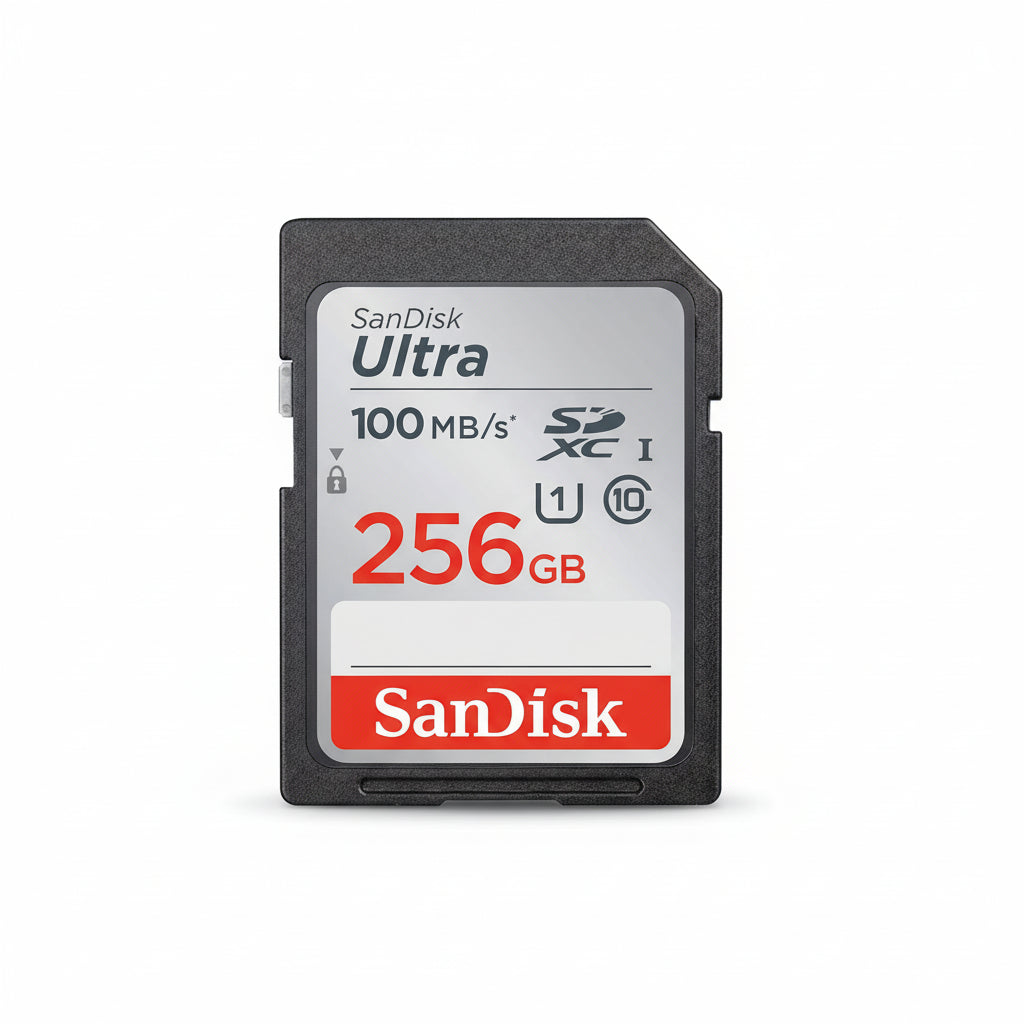 SanDisk 256gig camera memory card