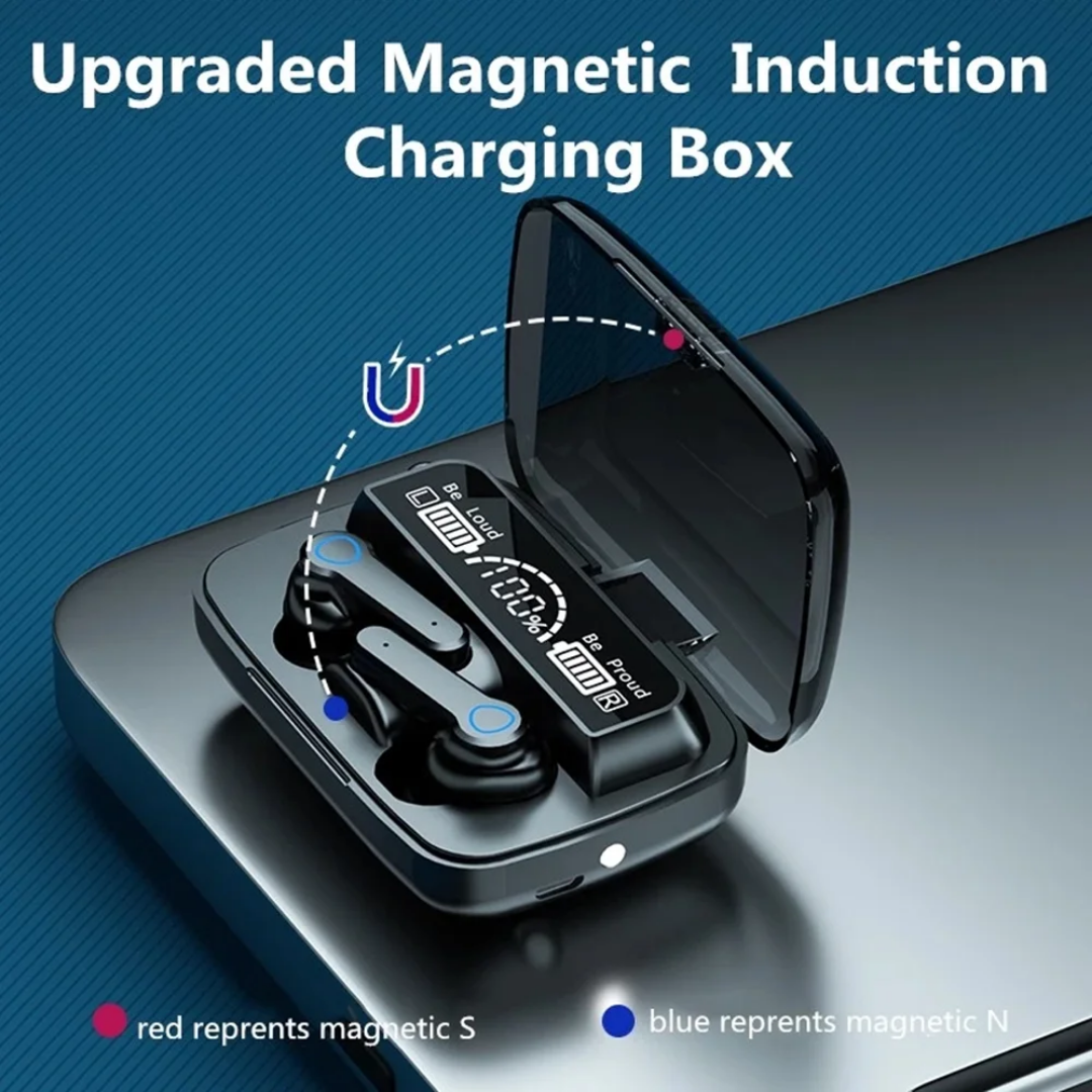 M19 earpods