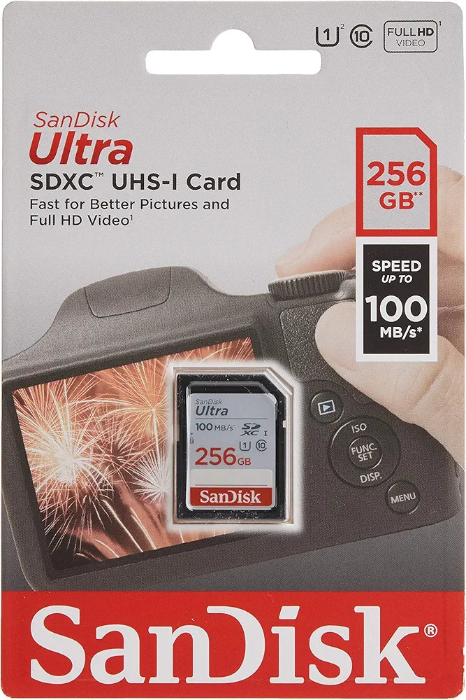 SanDisk 256gig camera memory card