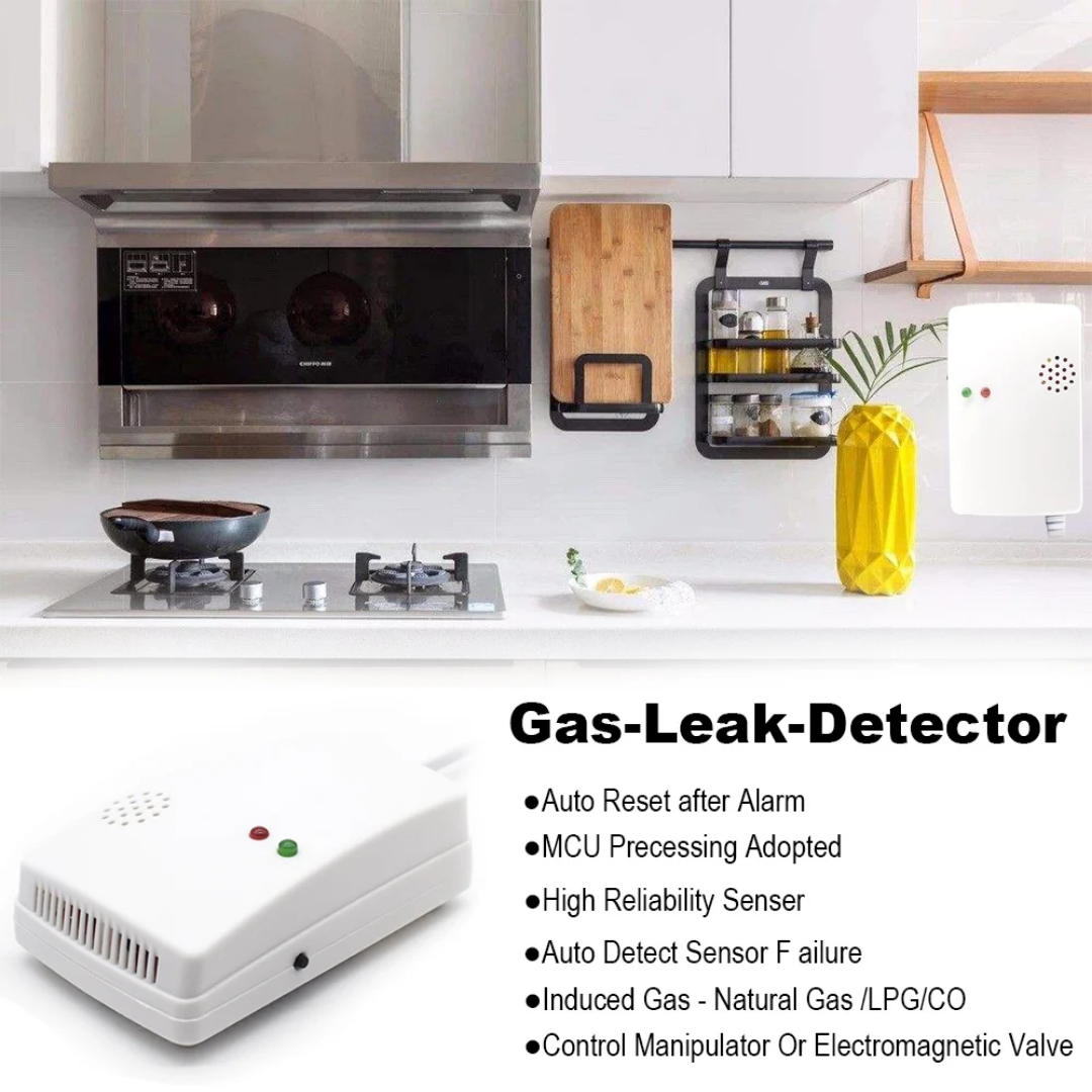Smart gas leak detector