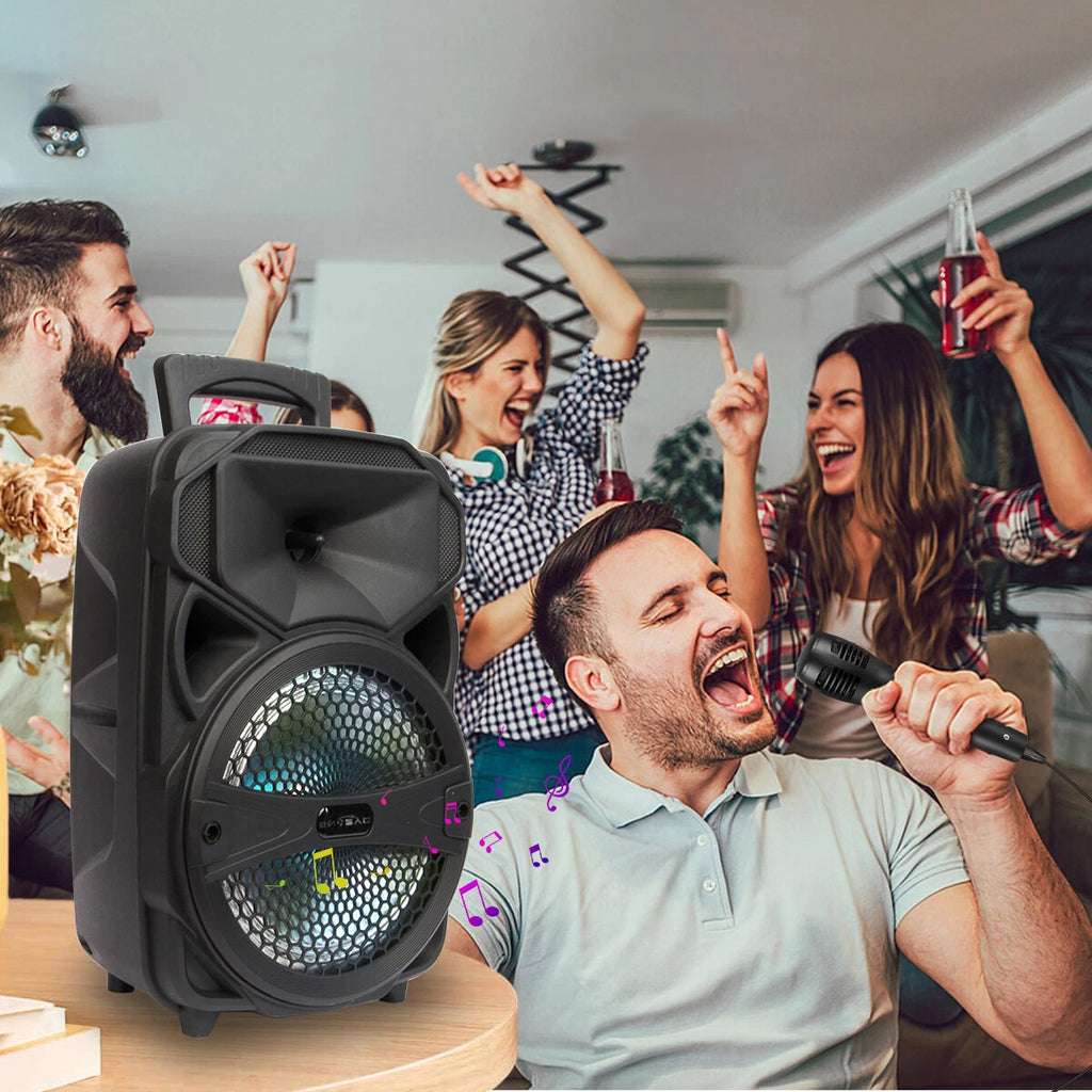 AEK 8inch bluetooth  party speaker