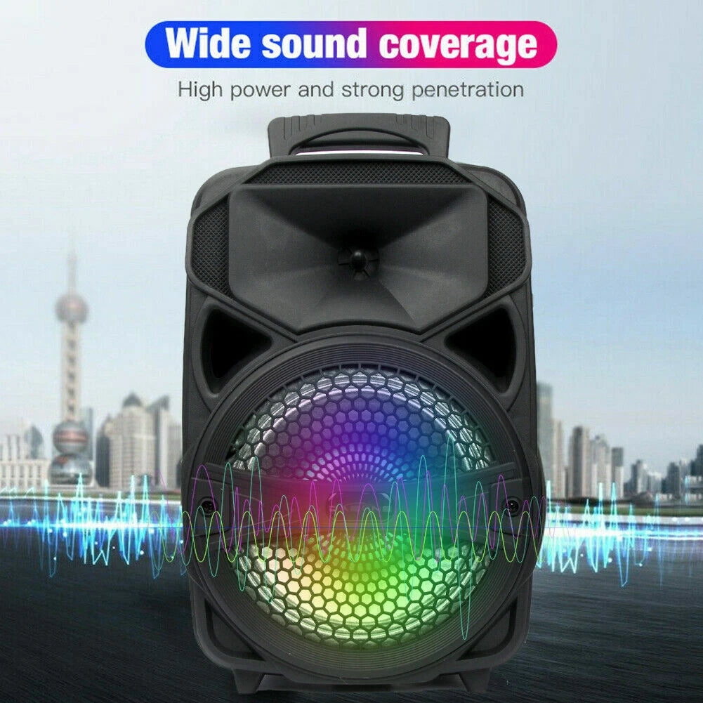 AEK 8inch bluetooth  party speaker