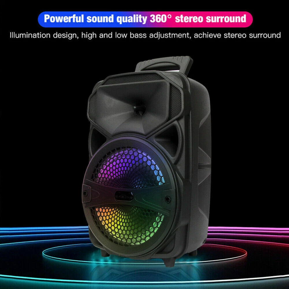 AEK 8inch bluetooth  party speaker