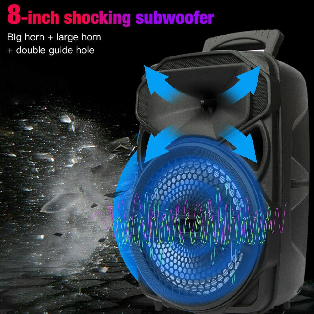 AEK 8inch bluetooth  party speaker