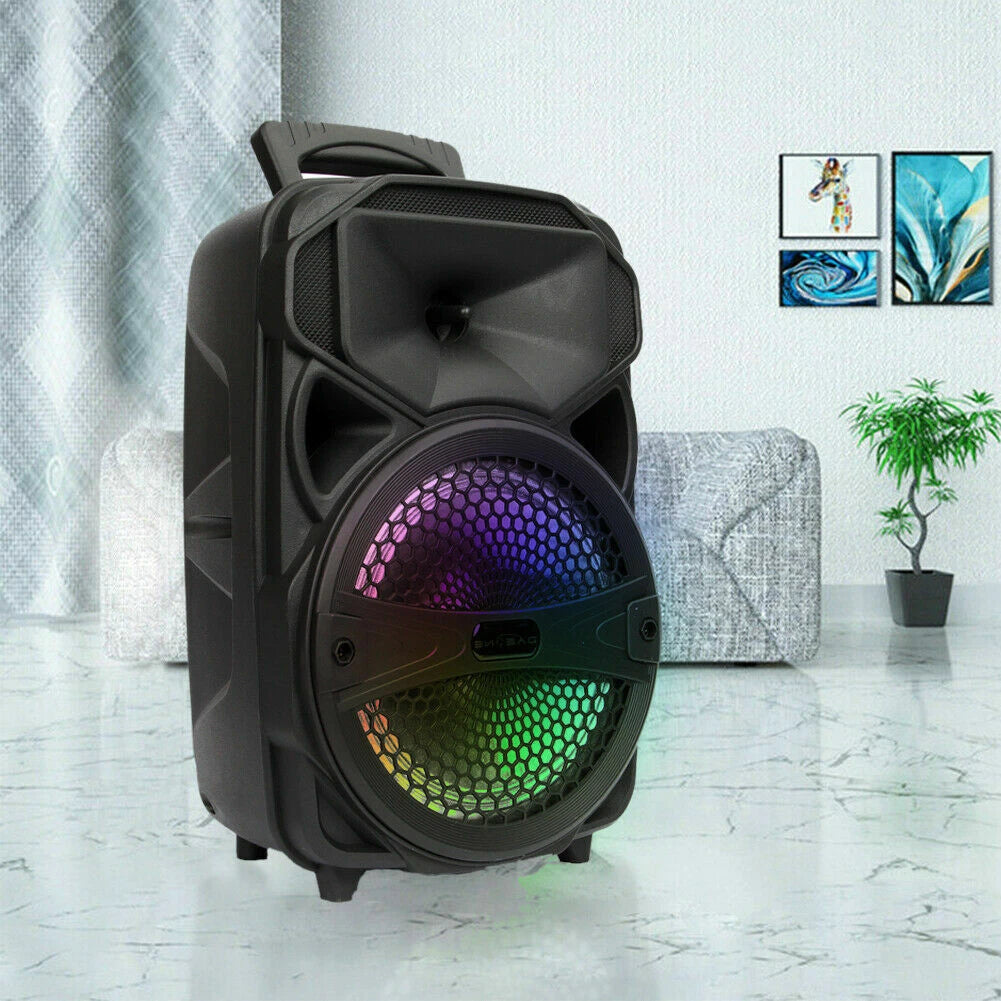 AEK 8inch bluetooth  party speaker
